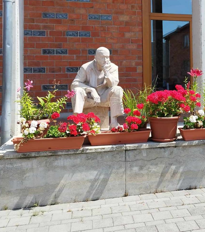 ZSPSZ udvar